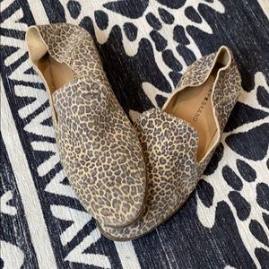 Leopard shoes size 9